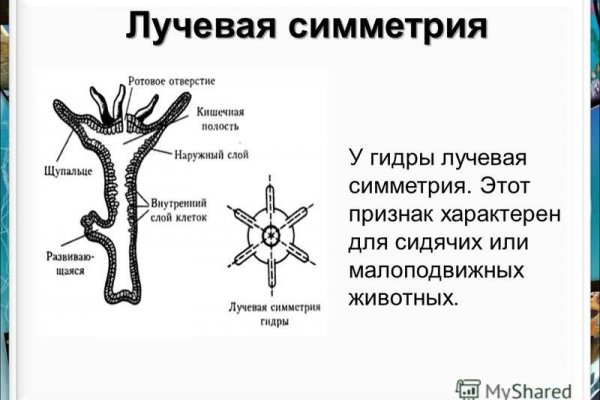 Кракен порошок