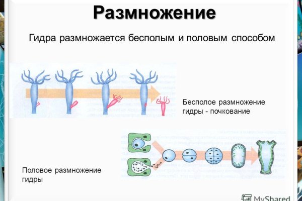 Войти в кракен вход магазин