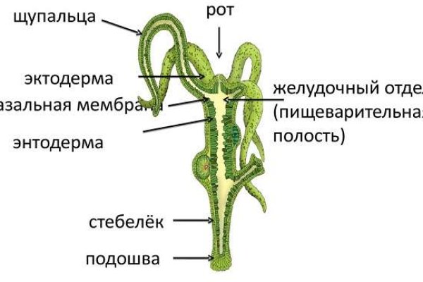 Кракен наркомагазин